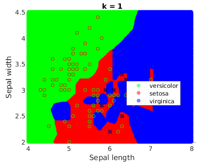 1NN decision boundaries for the Iris dataset.